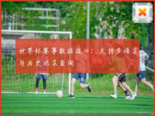 世界杯赛事数据接口：支持多语言与历史记录查询