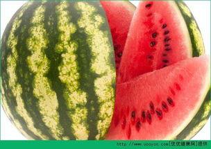 每日吃瓜全集播放,揭秘娱乐圈幕后风云