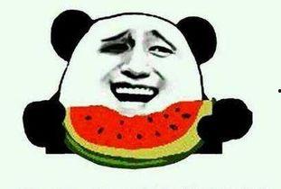 带你吃瓜全部,揭秘带你吃瓜背后的故事与精彩瞬间