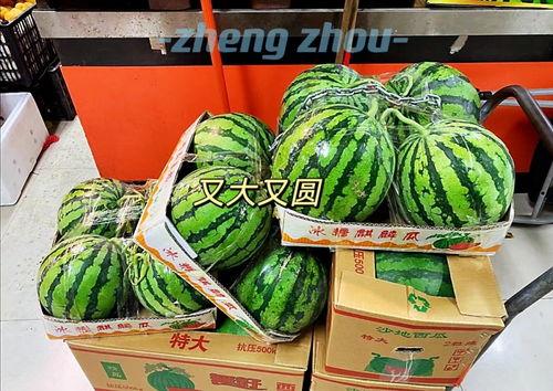 吃郑州的瓜,探寻中原大地上的味蕾盛宴