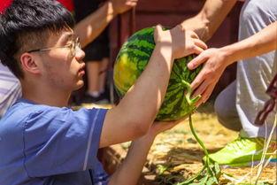 旅游学院吃瓜,一场别开生面的“吃瓜”之旅